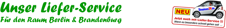 Liefer-Service mit Kurierdienst