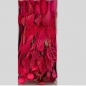 Preview: Trockenblumen Exoten, Farbe erika, Sortiment Floristik