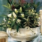 Preview: Grab Pflanzschale Grabschale Metall Guss