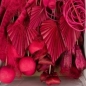 Preview: Trockenblumen Exoten, Farbe erika, Sortiment Floristik