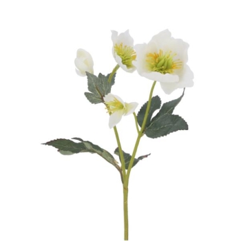 Christrosen Seidenblume, Christrosen X2 3 Blüten. 3 Stück
