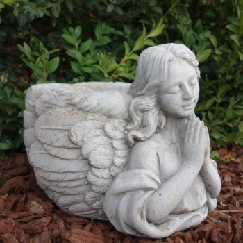 Engel betend mit Pflanztopf.