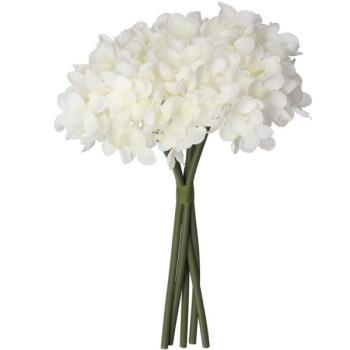 Hortensien Pick, Bund x5