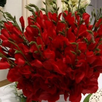 Kunstblume Gladiole günstig, rote Seidenblume 6 Blüten