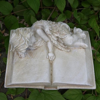 Engel schlafend auf Buch