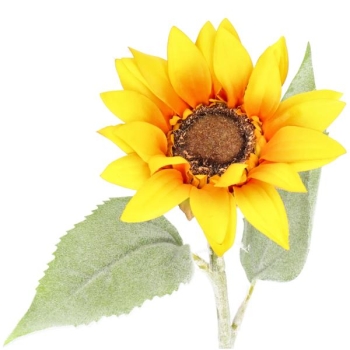 Sonnenblume, 13cm x 51cm