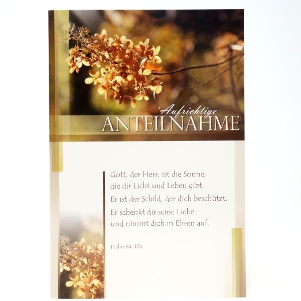 Gott, der Herr, ist die Sonne,