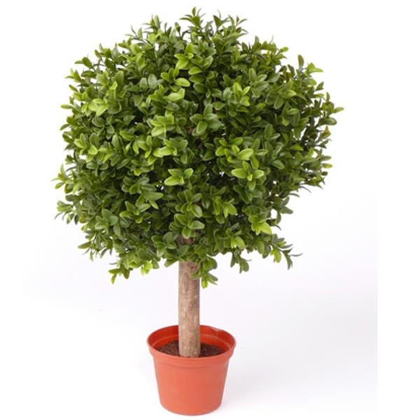 Buchsbaumkugel auf Stamm, Kunstpflanze UV. H 45cm