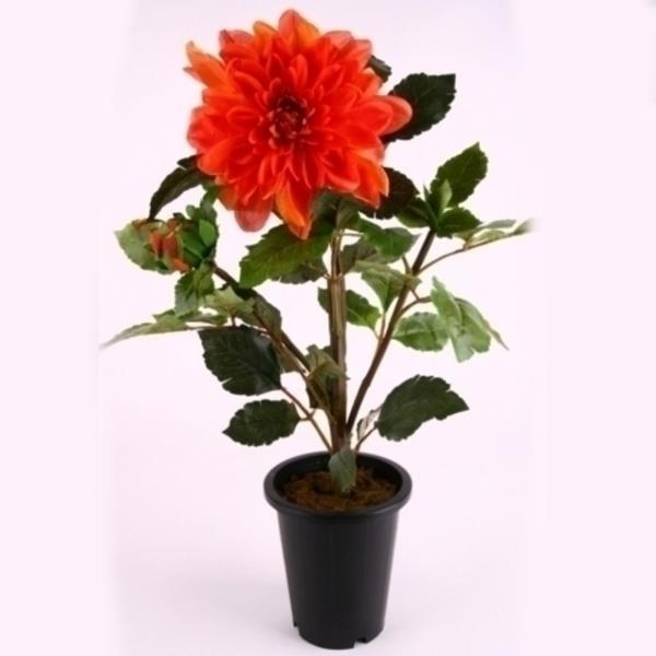 Dahlien Kunstpflanze im Topf. H 61 cm.