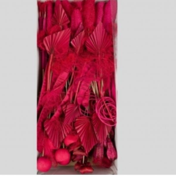 Trockenblumen Exoten, Farbe erika, Sortiment Floristik