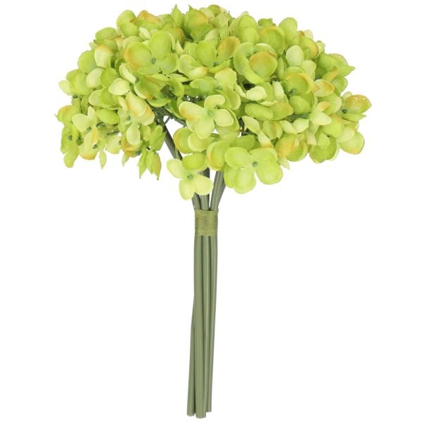 Grüner Hortensien Pick, Bund X5