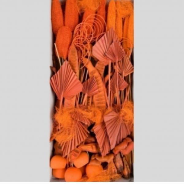 Trockenblumen Exoten orange, Grab Sortiment