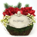 Pflanzgesteck Amaryllis, Beeren und Tannenzweigen