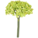 Grüner Hortensien Pick, Bund X5