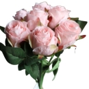 Rosen Bund mit 5 Rosen in rosa