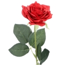 3 Stück rote Rosen mit Stiel und Blätter